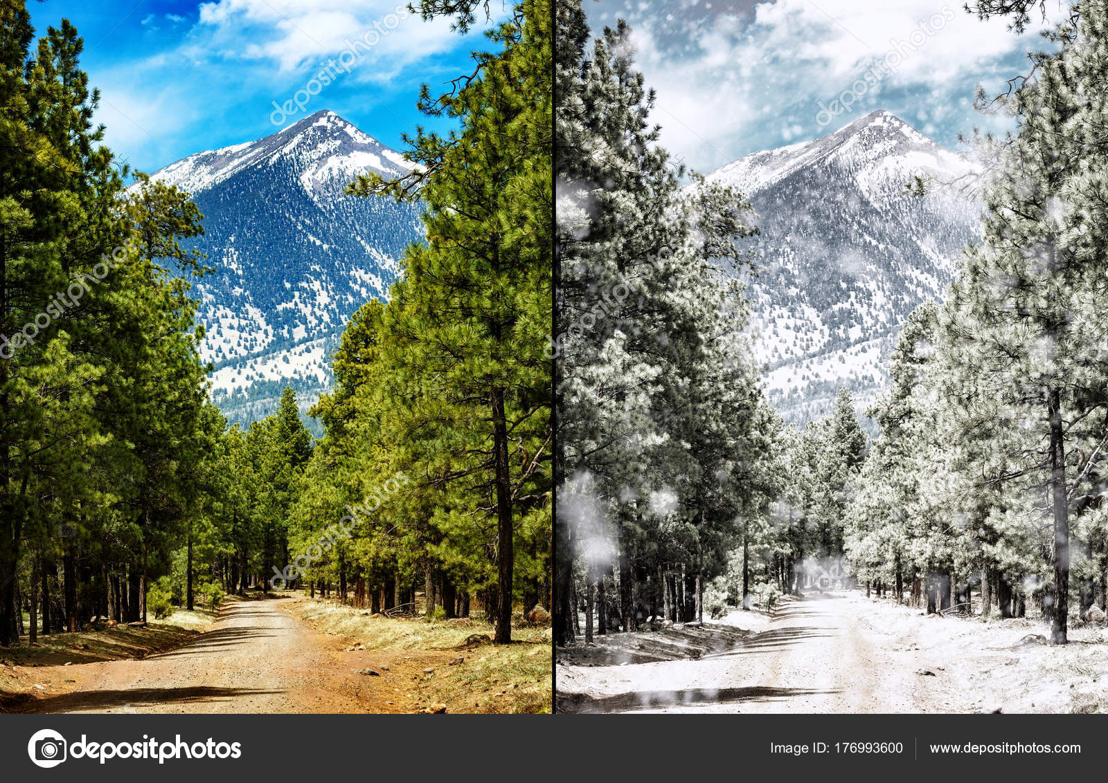 Comparison Photo Same Scene Flagstaff Arizona Summer Winter Seasons