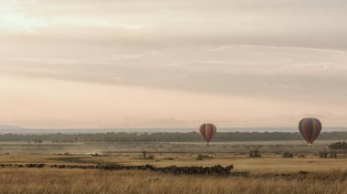 Güneş doğarken yüzen sıcak AIT Balonlu Kenya'daki Masai Mara Ulusal rezerv, Afrika geçiş antilop sürüsü