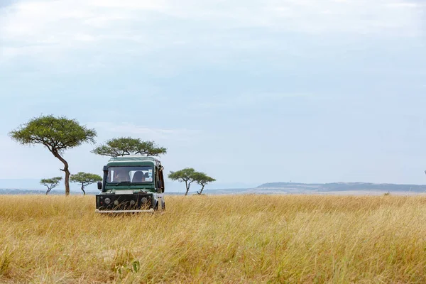 Řízení Prostřednictvím Otevřené Louky Keňa Afrika Safari Vozidla — Stock fotografie