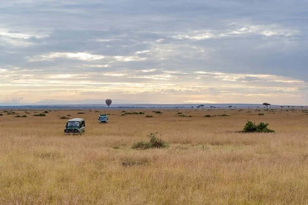 Safari Veicolo Guida Attraverso Campo Erba Aperta Kenya Africa — Foto Stock