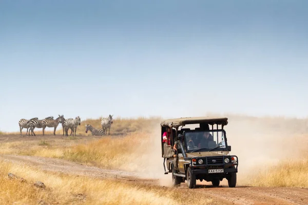 Masai Mara Kenia Afryka Lipca 2017 Safari Turystów Zobacz Stad — Zdjęcie stockowe