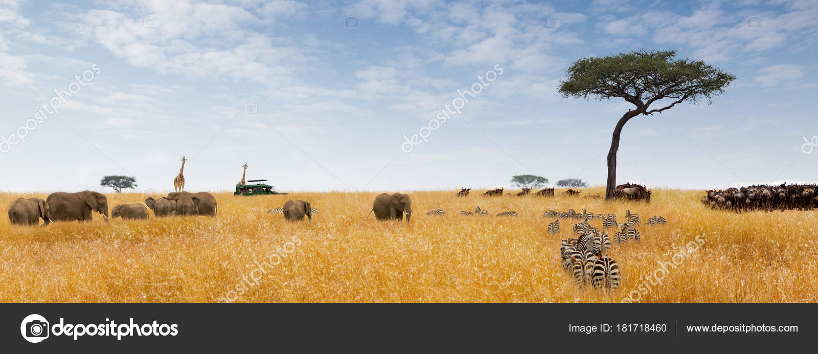 African Safari Fantasy Scene Wild Animals Tall Grass ...