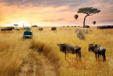 Rüya gibi fantezi sahne otlaklar Kenya, gündoğumu, Afrika'nın bir yaban hayatı safari oyun sürücü