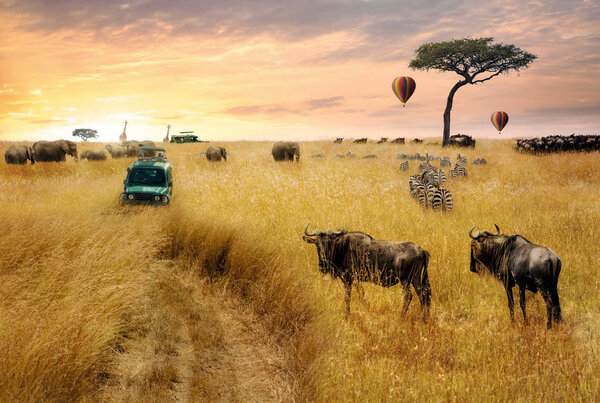 Dreamy fantasy scene of a wildlife safari game drive through grasslands of Kenya, Africa at sunrise