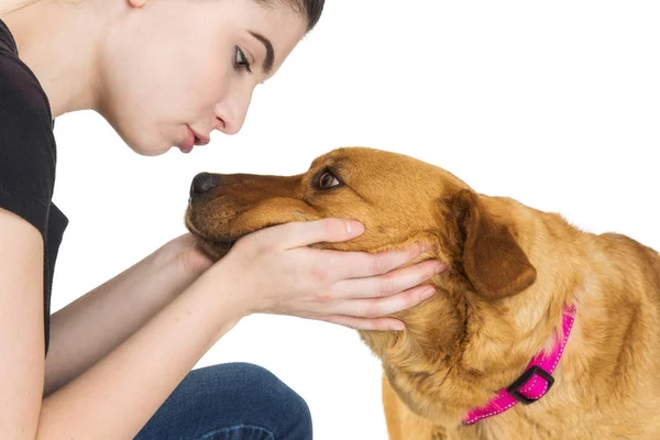 Beautiful Young Woman Holding Face Dog Her Hands While Looking — Stock Photo, Image