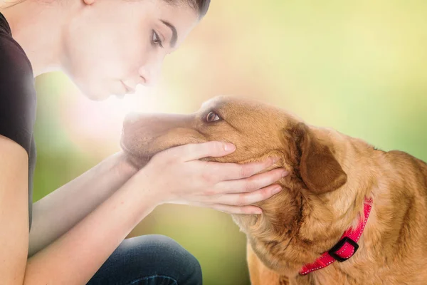 Beautiful Young Woman Holding Face Dog Looking Ito Her Eyes — Stock Photo, Image