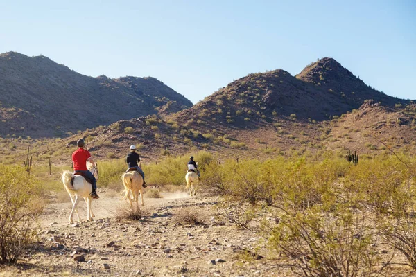 Pessoas Não Identificáveis Montando Cavalos Através Mountain View Park Phoenix — Fotografia de Stock