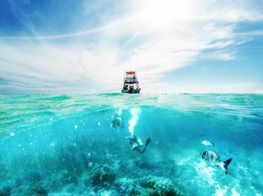 Dalgıçların sualtı ve balıkçılık tur tekne Karayip Denizi Cozumel, Meksika için yukarıda