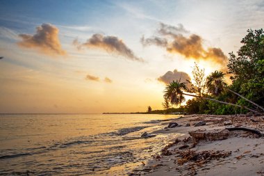 Güzel altın renkli sunrise beach Cozumel, Meksika için üzerinde
