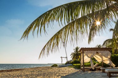 Sunrise lüks cabana ve palmiye ağaçları ile tropik sahilde