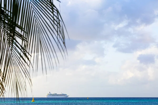 Crucero Mar Caribe Con Hojas Palmera Espacio Para Texto Cielo — Foto de Stock