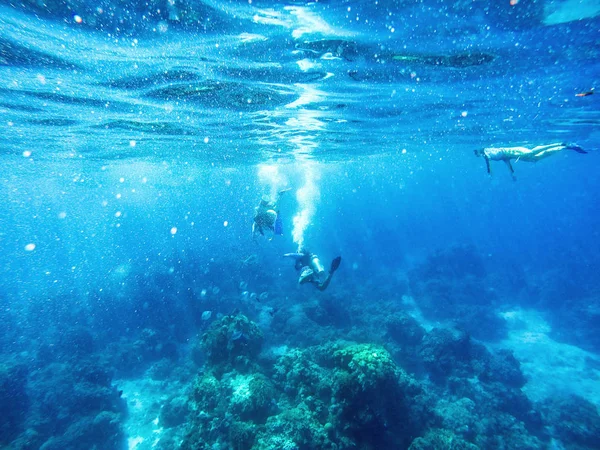 Buceadores Snorkler Las Aguas Azules Del Mar Caribe Cozumel México — Foto de Stock