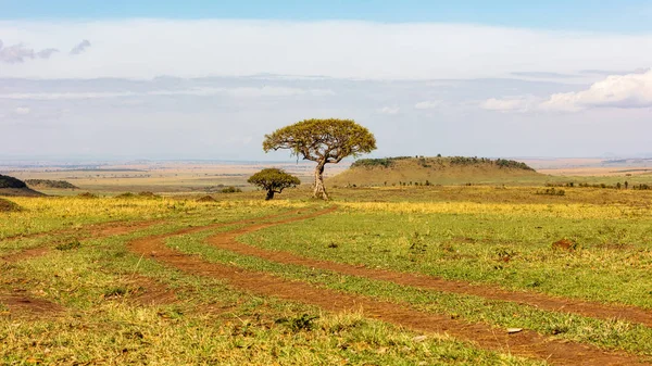 Camino Tierra Serpenteando Campo Abierto Kenia África Que Conduce Una — Foto de Stock