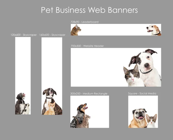 宠物行业的各种大小不同的网页广告横幅形状和尺寸的模板 — 图库照片