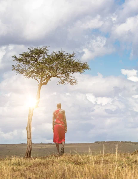 Onidentificeerbare Maasai Stam Man Met Traditionele Rode Jurk Sieraden Weg — Stockfoto