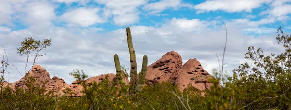 アリゾナ州テンペのパパゴ公園にある赤い岩の山 横型Webバナー — ストック写真