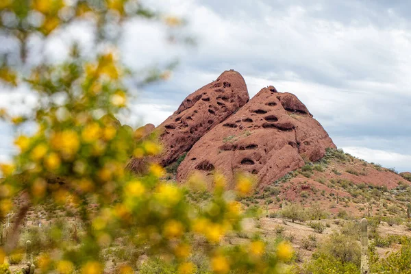 Κόκκινα Βουνά Βράχων Στο Papago Park Στο Tempe Arizona Την — Φωτογραφία Αρχείου