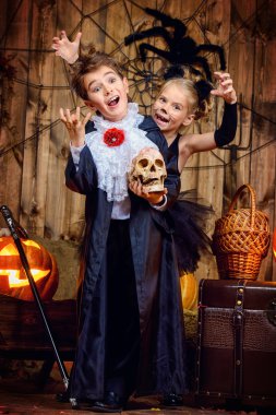 vampir ve siyah bir kedi