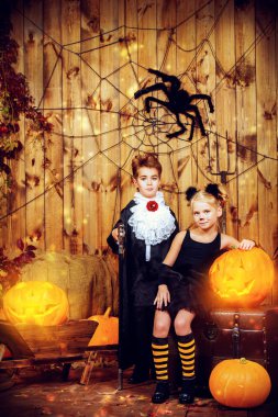 siyah kedi ve bir vampir