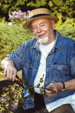 mutlu emeklilik. Komuta sizde budama Bahçe şube secateurs ile yükseldi.