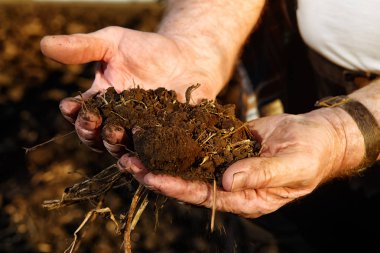 Tarım kavramı, eller. 