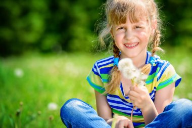 Beyaz tüylü dandelions
