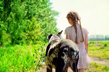 Bir köpekle yürü.