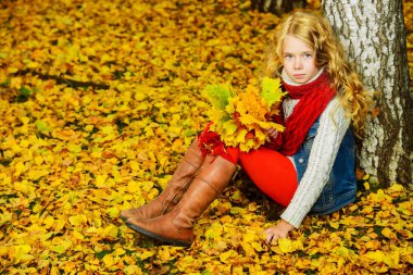 altın yaprağı sezon