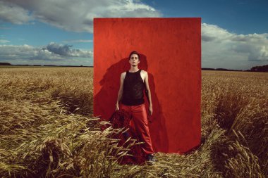 buğday dalgalar alanları