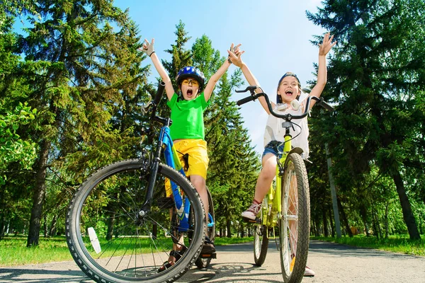 bir parkta neşeli arkadaşları