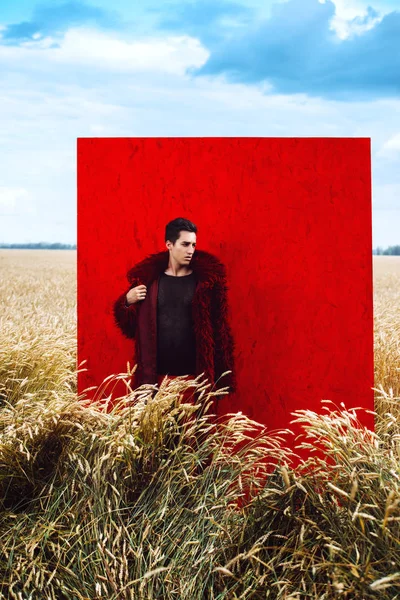 Buğday tarlasında bir adam