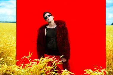 bir buğday alanı modelinde