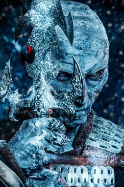 Beyaz karlı savaşçı