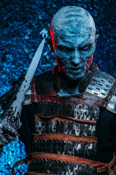 sihirli Ortaçağ savaşçı