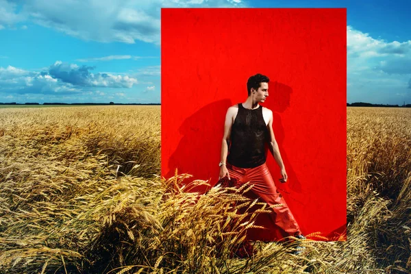 sonbahar buğday alanı