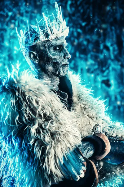 Ortaçağ şövalye Kral