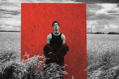 Altın buğday tarlası