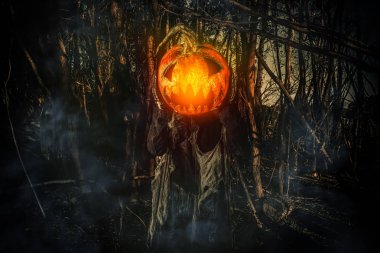 Bir ormandaki Jack fener