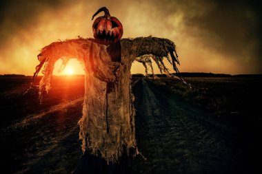 Bir alandaki korkuluk