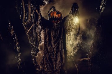 Jack Fener Balkabağı