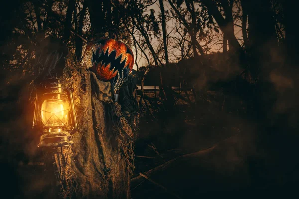 karanlık bir ormanda