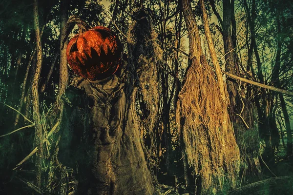 Kabak kafa üzerinde