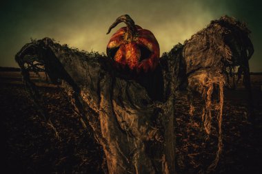 bir alandaki Zalim Korkuluk