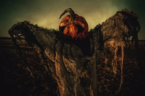 bir alandaki Zalim Korkuluk