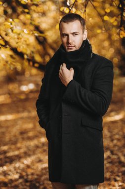 Altın sonbahar orman