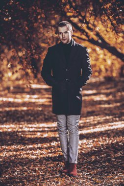 güneşli bir sonbahar park