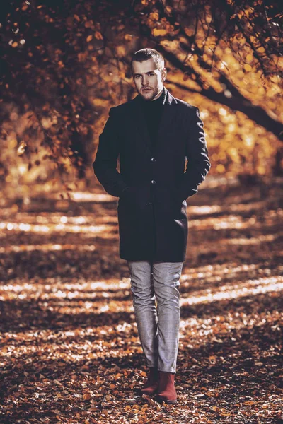 güneşli bir sonbahar park