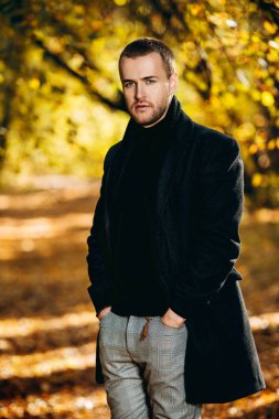 Altın güneş ışığı