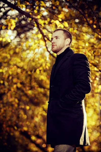 sonbahar melankolik ruh