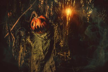 Halloween korku kabak